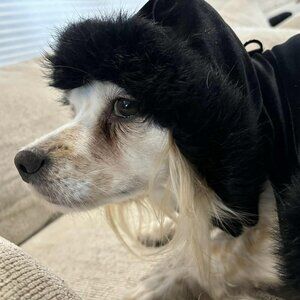 Vintage 2005 Gooby Black Velvet Angora Fur Coat Jacket Sweater Dog Puppy Holiday